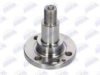BTA H5S003BTA Stub Axle, wheel suspension
